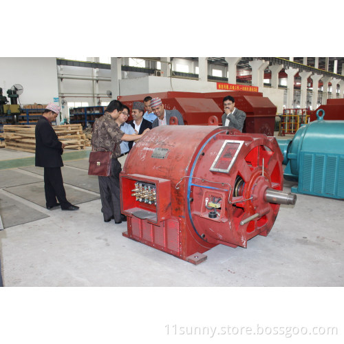 500mw Vertical Water Turbine Generator Prices